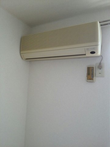 ケープマロンテールのその他