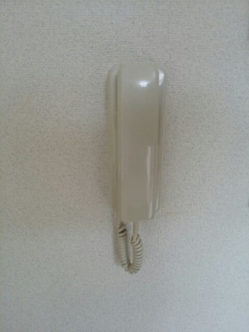 ケープマロンテールのその他