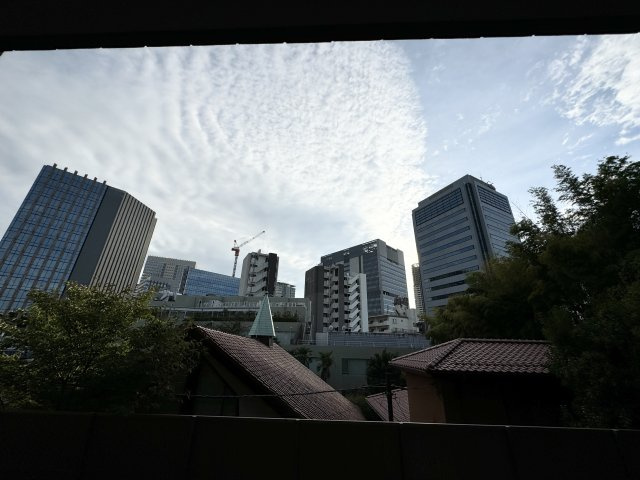 グラン・ブルー高輪アドニスA棟の展望