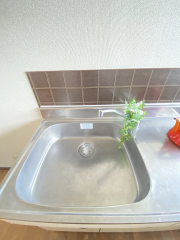 ハイツリバーBの浴室