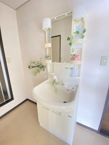 ハイツリバーBの洗面所