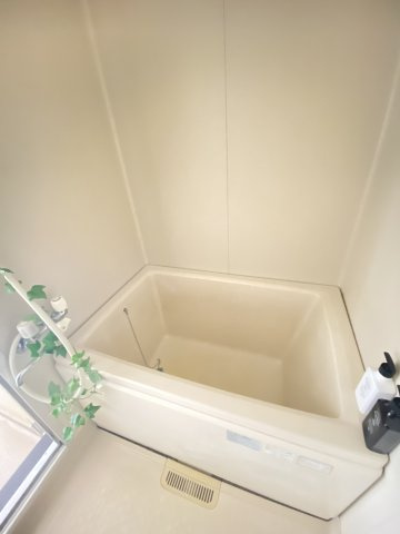 ハイツリバーBの浴室