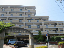 スターリーKTの画像