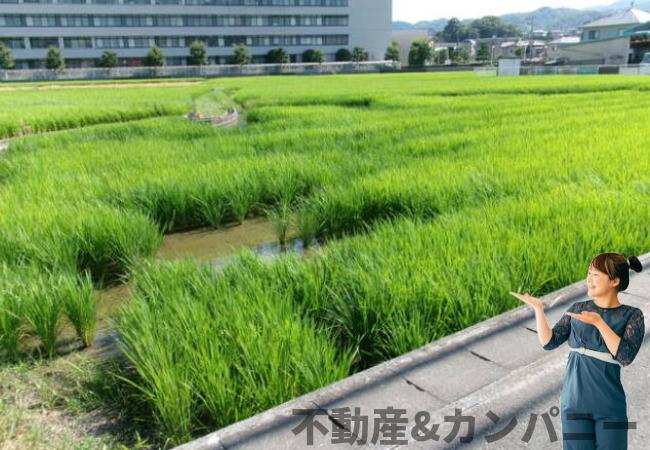 砥部町高尾田売土地