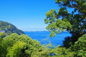 熱海市伊豆山　戸建の画像