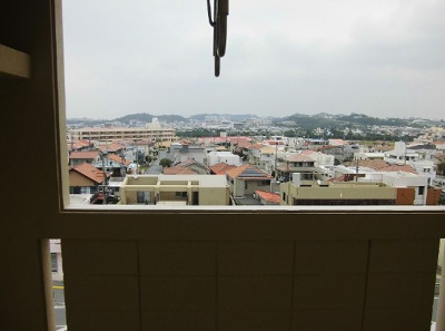 【展望】 | シッタビバース大政