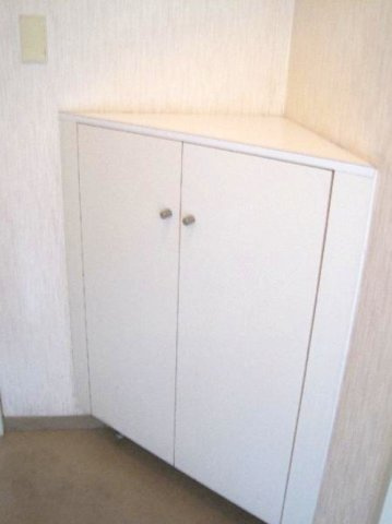 西舞子メゾンの収納|こまごまとしたものを収納できそうですね