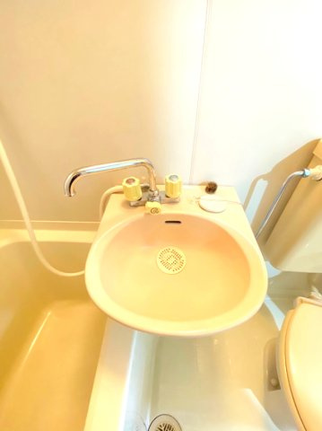 野沢マンションの洗面所|洗面所です