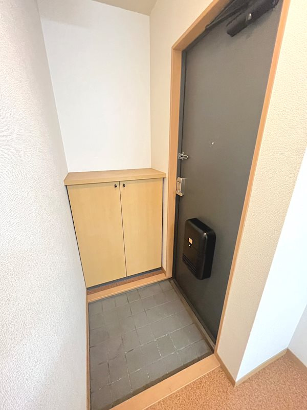 ルシエール離宮の玄関|収納もある玄関です