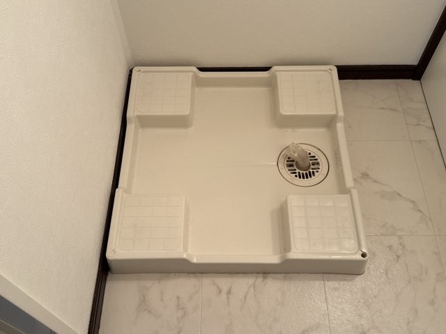 シャトレーⅡのその他