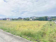 山鹿市杉の画像