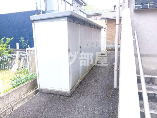 ユーミー清道のその他