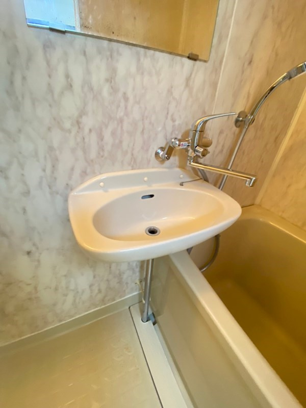 普茶マンションの洗面所