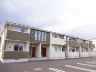 ダンデライオンの画像