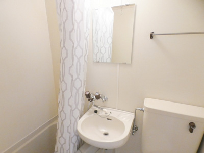 【洗面所】 | ぶるうめんはいむなかの