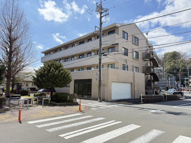 リーゼンハイムの外観|スケルトン渡し【リーゼンハイム】