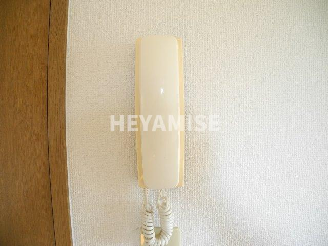 セジュールマリモⅡのセキュリティ|※室内画像は別号室のもの