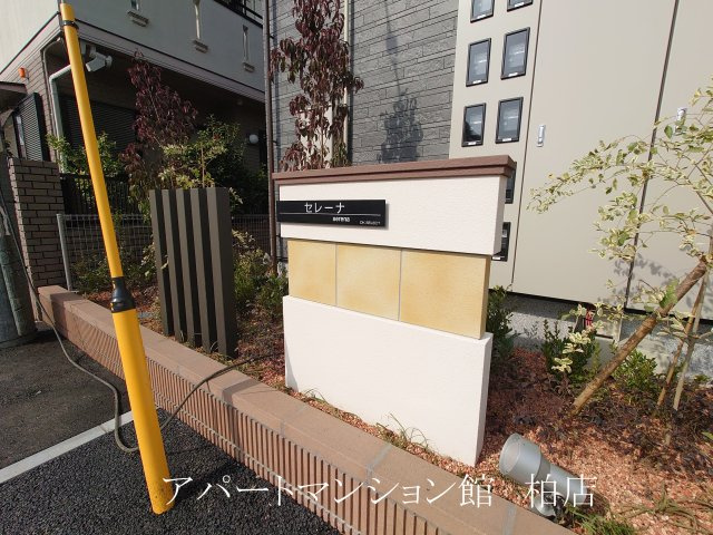セレーナのエントランス