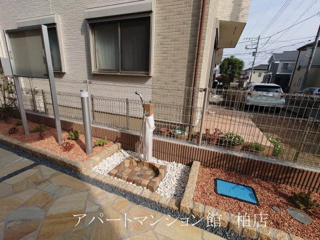 セレーナのその他