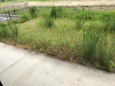 【その他】 | プリオール花 | 専用庭