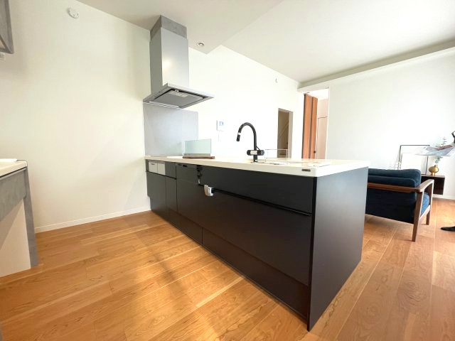 鹿児島市大明丘三丁目戸建てのキッチン|食器洗浄乾燥機付きのカウンターキッチンです。