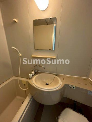 シティハイムケントの洗面所