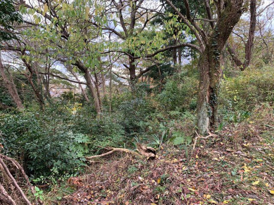 【外観】 | イトーピア一碧湖畔台別荘地　売地