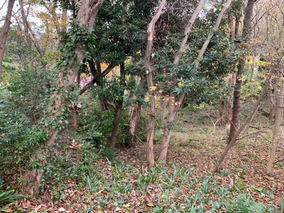 【外観】 | イトーピア一碧湖畔台別荘地　売地