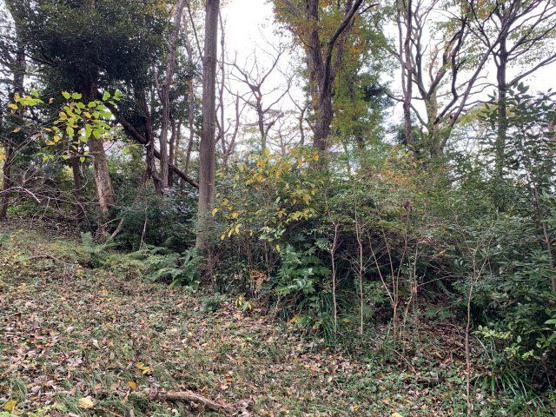 【外観】 | イトーピア一碧湖畔台別荘地　売地