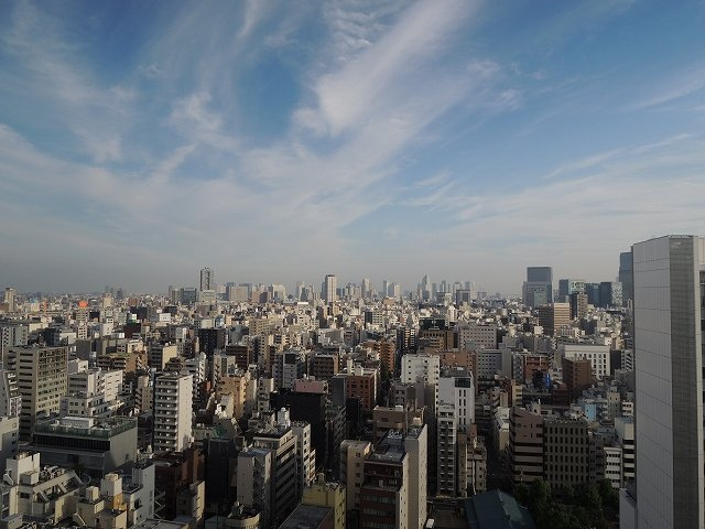 Tower Residence Tokyoの展望