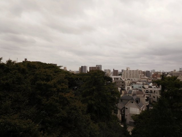 あづまマンションの展望