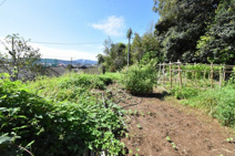 中郷町字平原 土地の画像