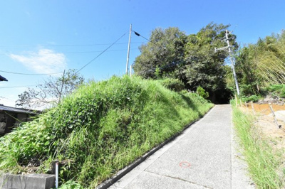 【前面道路含む現地写真】 | 中郷町字平原 土地
