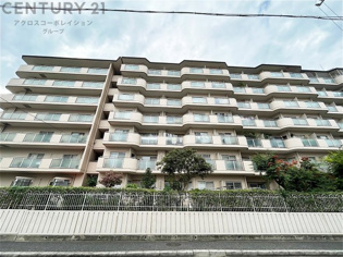 鉄筋コンクリート造地下１階付７階建