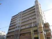 ブランコートの画像