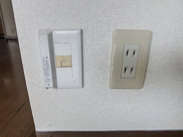 ピーコック28のセキュリティ