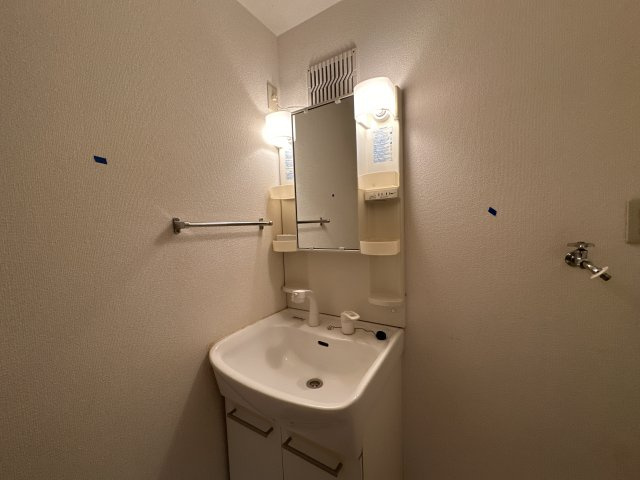 ハイツラポルテＡ棟の洗面所