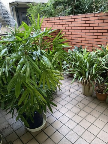 北区栄町の賃貸マンションのロビー