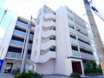 アイボリーの画像