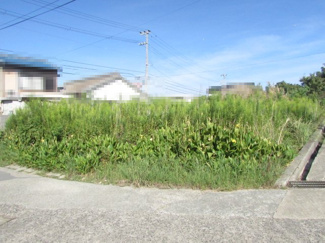 【外観】 | 洲本市由良町由良・売土地 | 現地写真です。（令和６年１０月撮影）