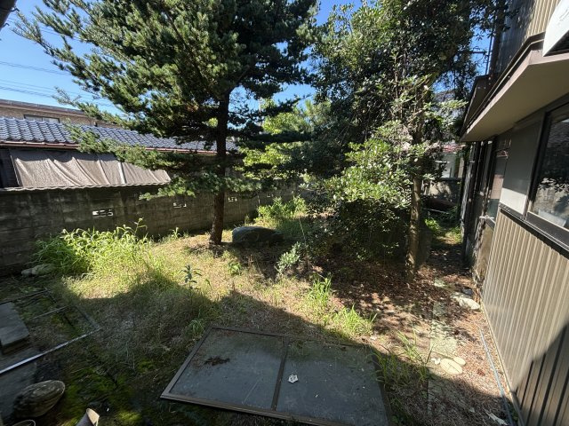 荒川戸建の庭|お庭の付いた物件です