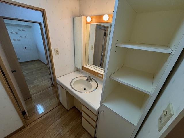 ダイアパレス大川筋の独立洗面台