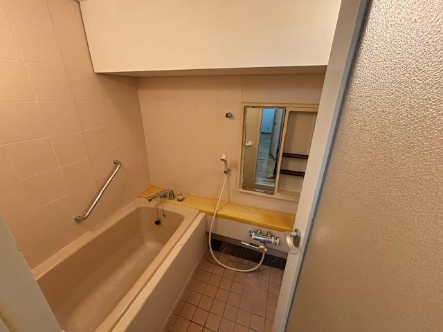 ダイアパレス大川筋の浴室