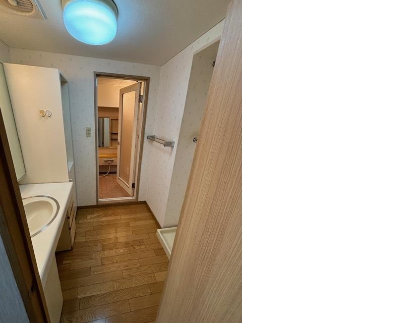 ダイアパレス大川筋の脱衣所