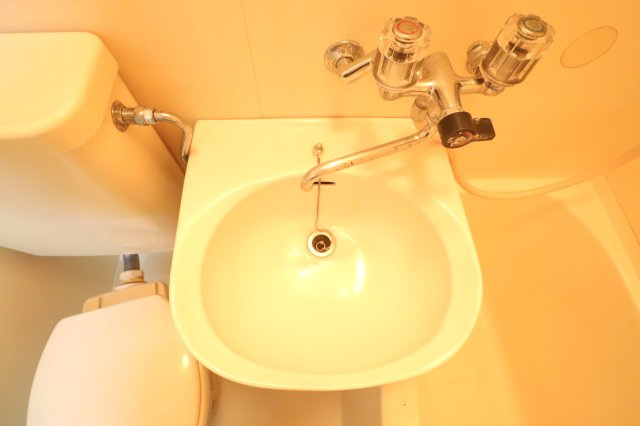 ファミールクルスの洗面所