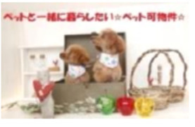 【展望】 | パティオ五十川　プライスホームなら仲介手数料０円！