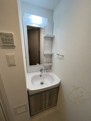 S-RESIDENCE福島玉川Deuxの独立洗面台
