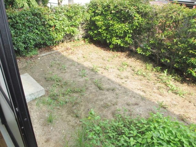 熊本市南区出仲間５丁目のアパートの庭
