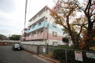 パインツリー次郎丸の画像