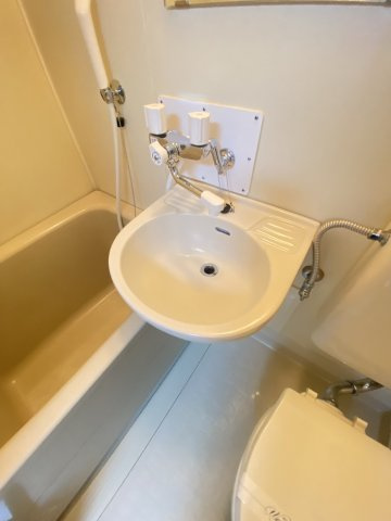 ヴィラ芙蓉の洗面所